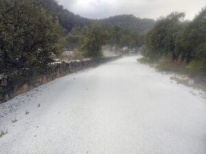 Temporal La Portellada