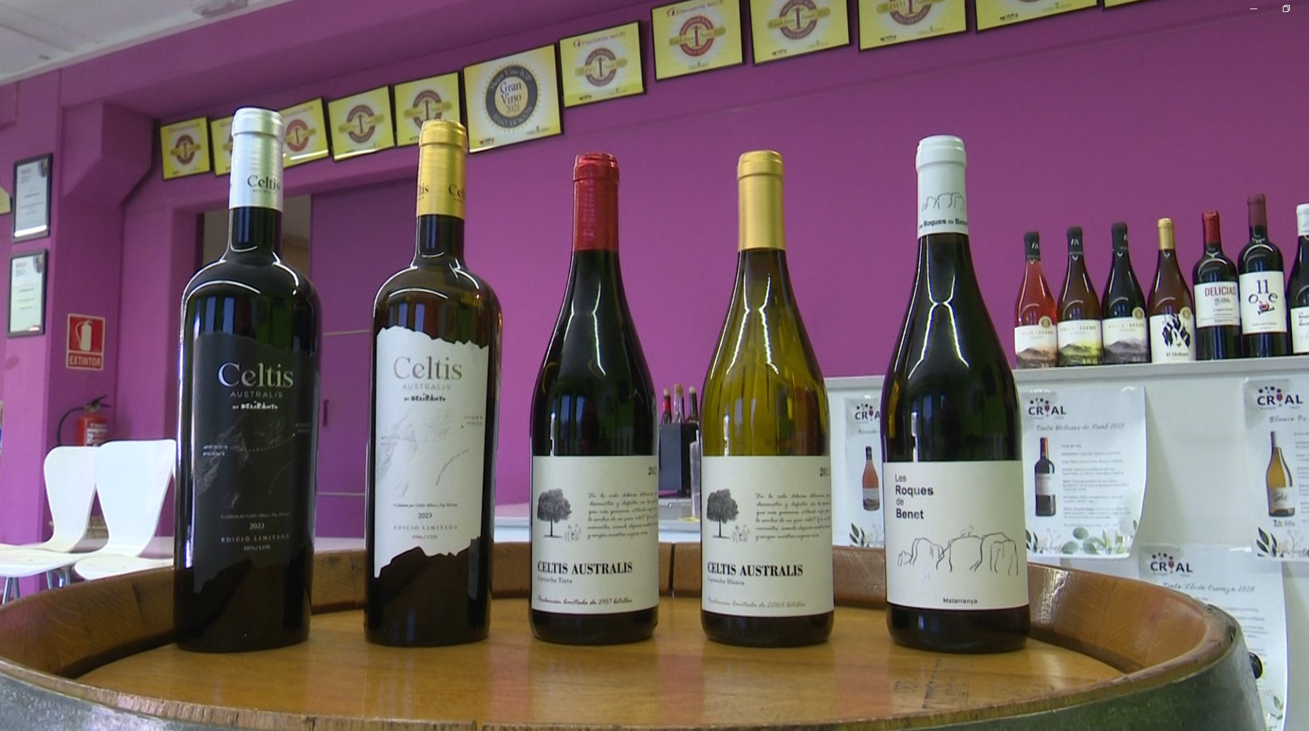 2026 fotos crial premis vins