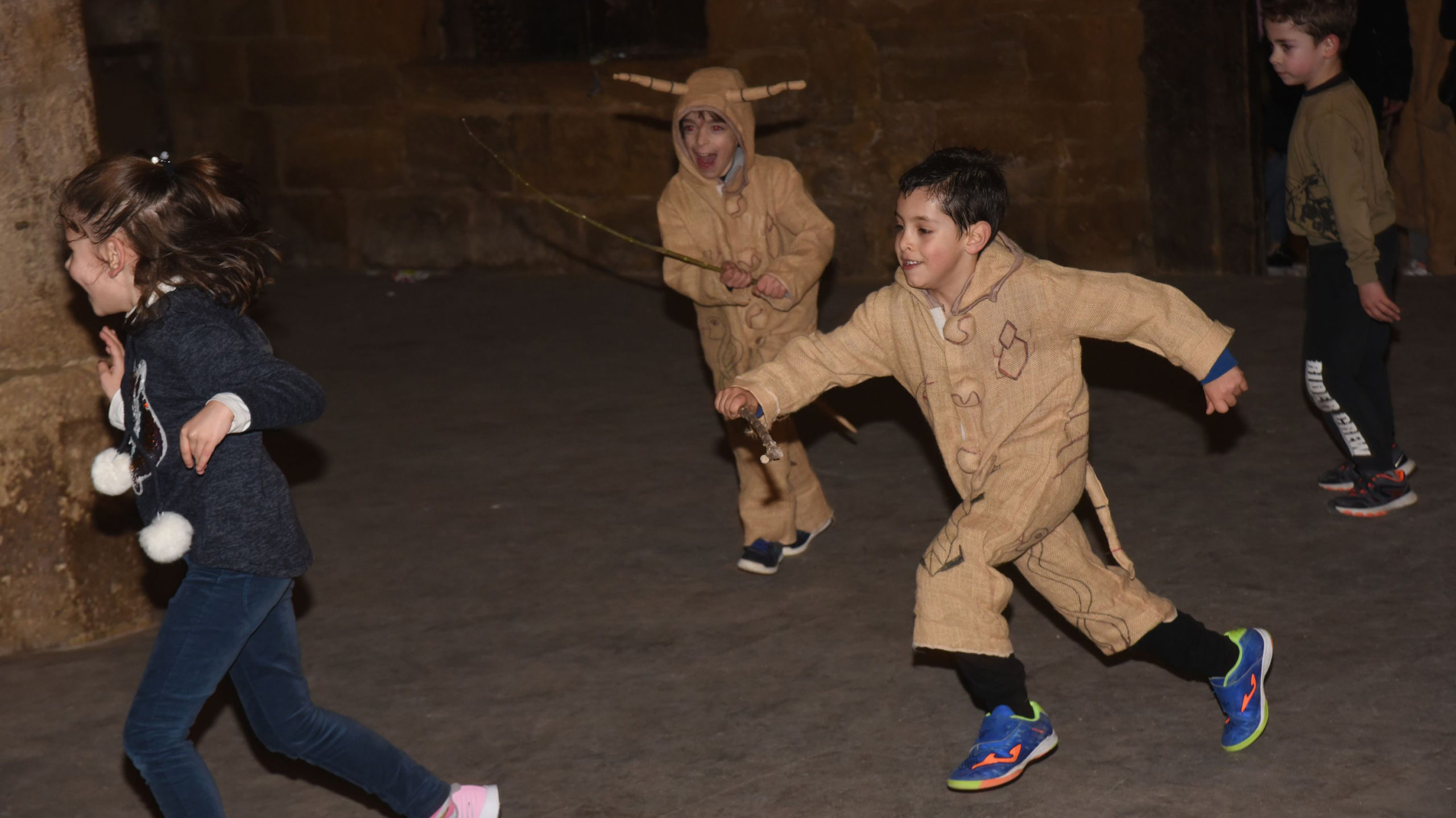 ssant antoni la fresneda (14)