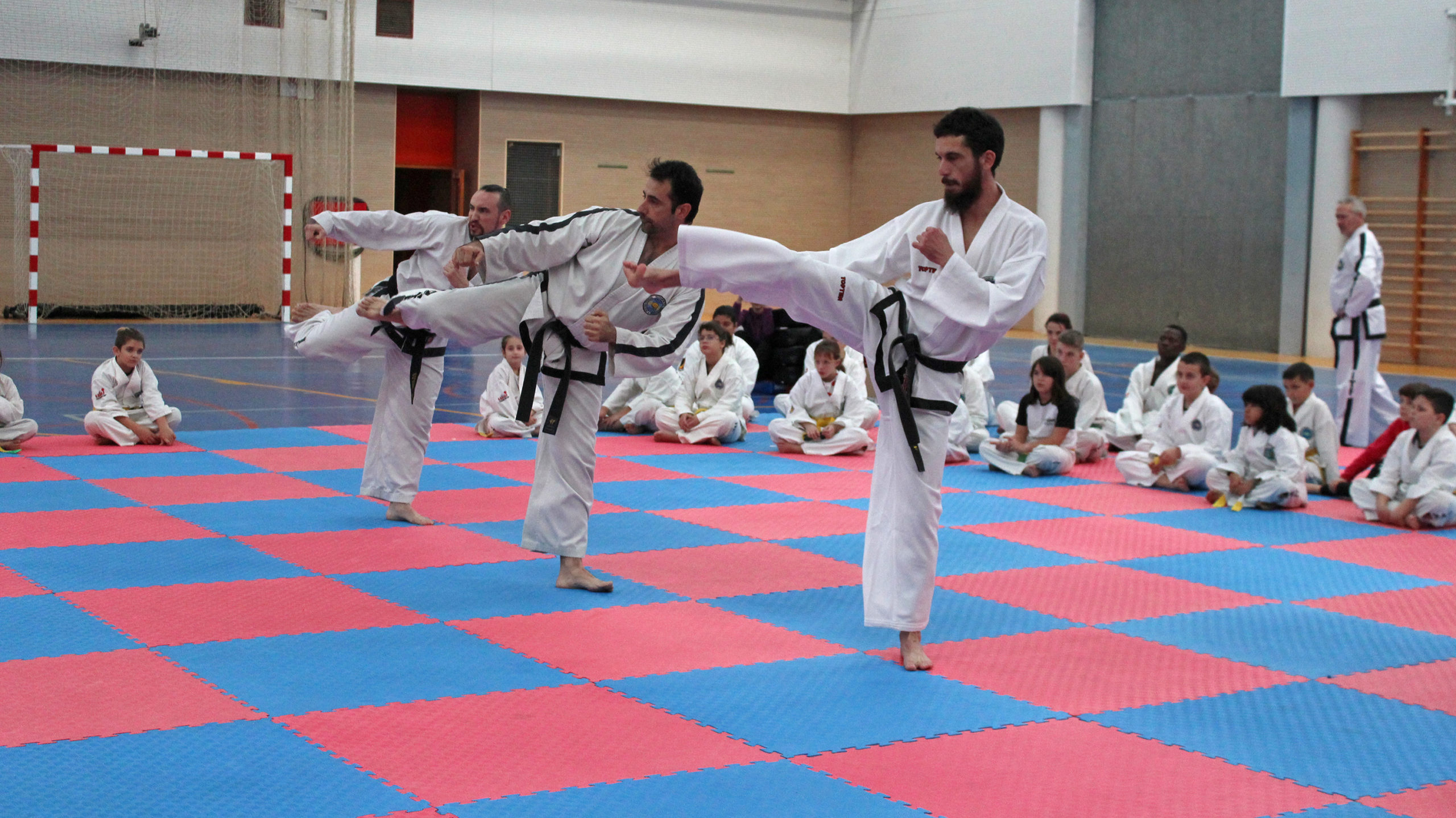 taekwondo valde